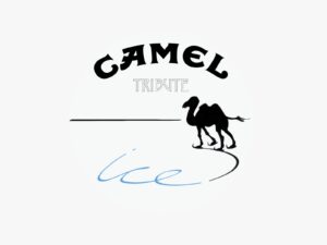Ice Dutch Camel Tribute